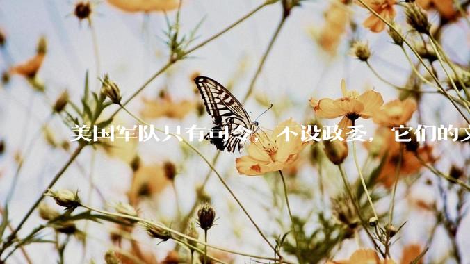 美国军队只有司令，不设政委，它们的文官治军咋实现的？