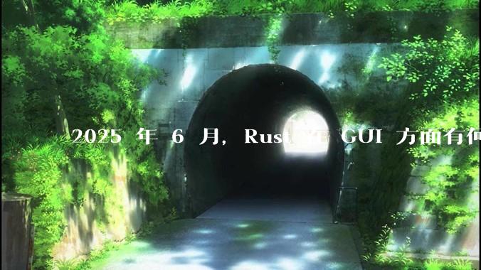 2025 年 6 月，Rust 在 GUI 方面有何大的进展? 你最看好哪个框架?