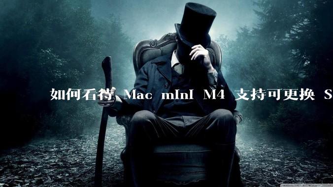如何看待 Mac mini M4 支持可更换 SSD？